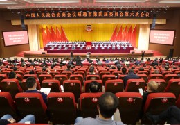 兩會影像丨市政協(xié)四屆六次會議勝利閉幕